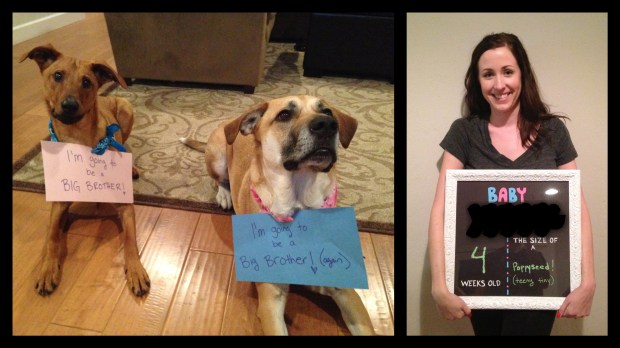 Processed with MOLDIV