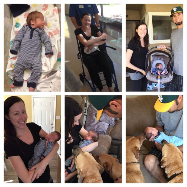 Processed with Moldiv