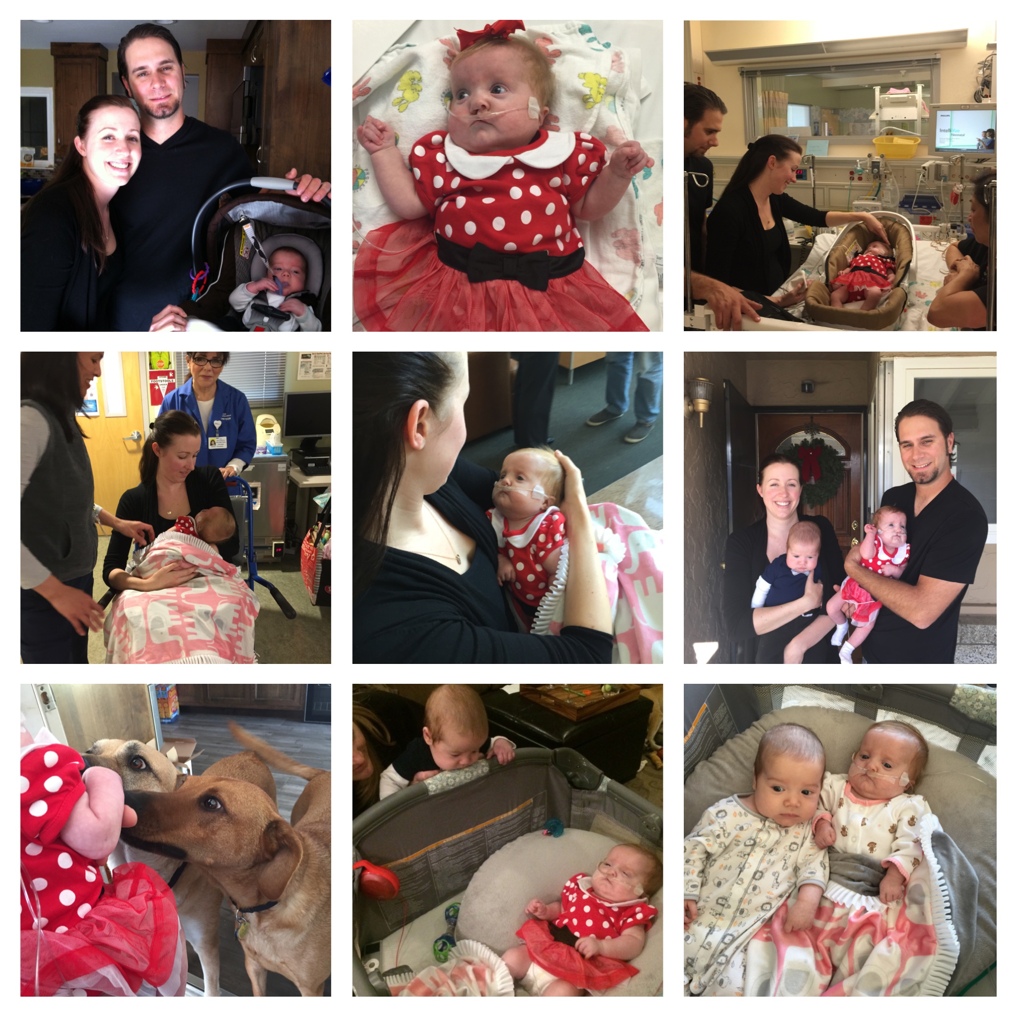 Processed with Moldiv