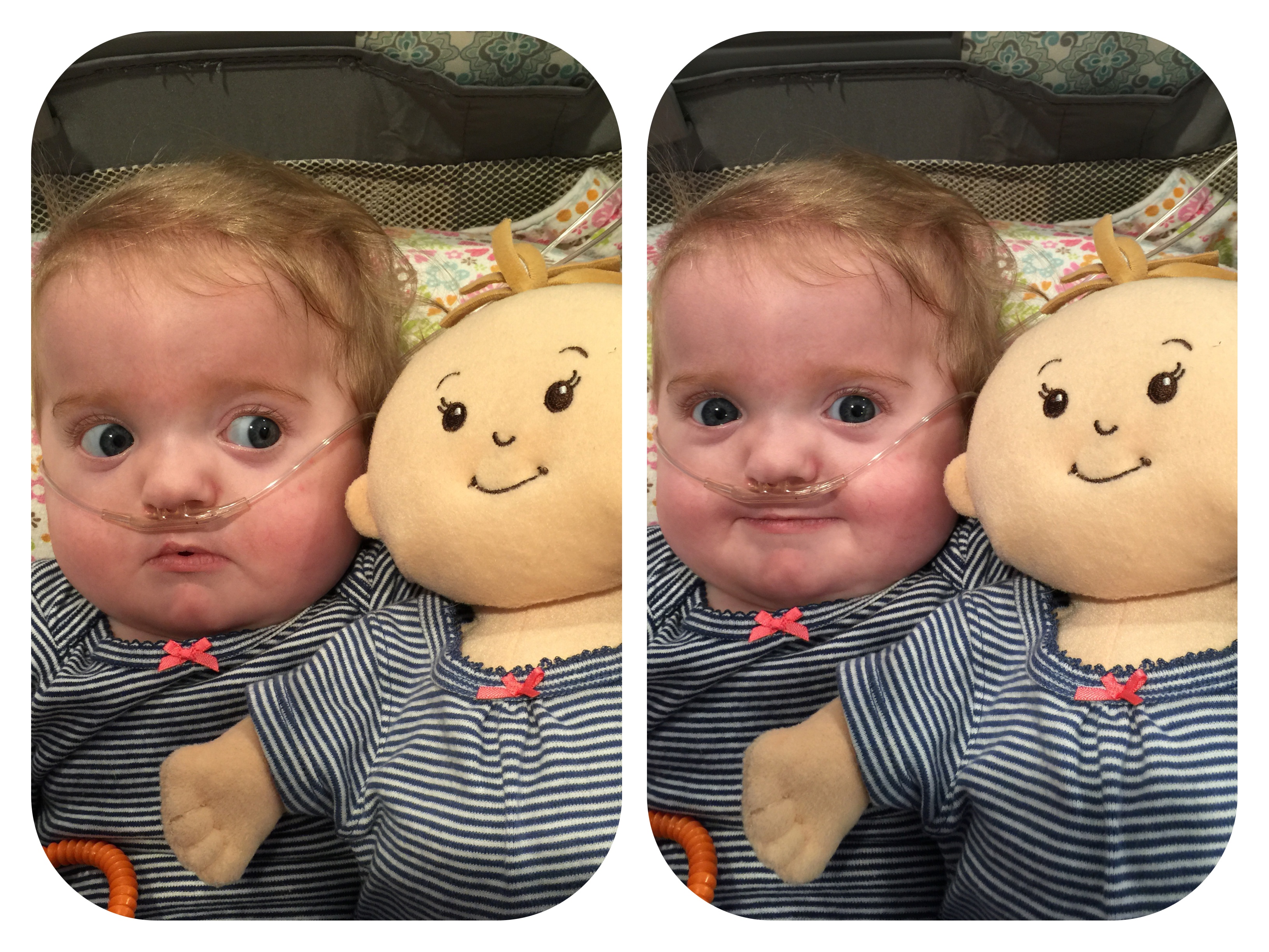 Processed with Moldiv